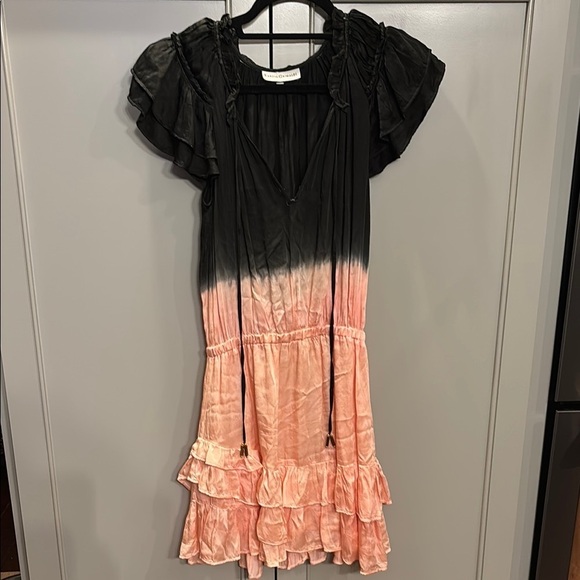 Karina Grimaldi Dresses & Skirts - Karina Grimaldi Angelique Dip-Dye Silk Mini Dress, XS